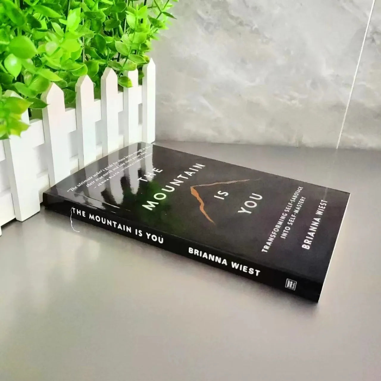 The Mountain Is You: Transform Self-Sabotage Into Self-Mastery