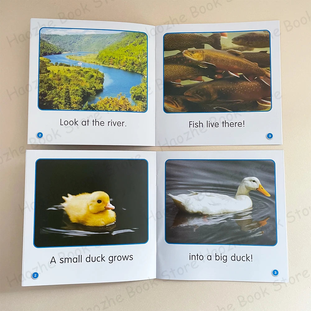 Guided Science Readers Level B – 16 Nonfiction Books for Ages 3-7 | Fun Early Learning English Set