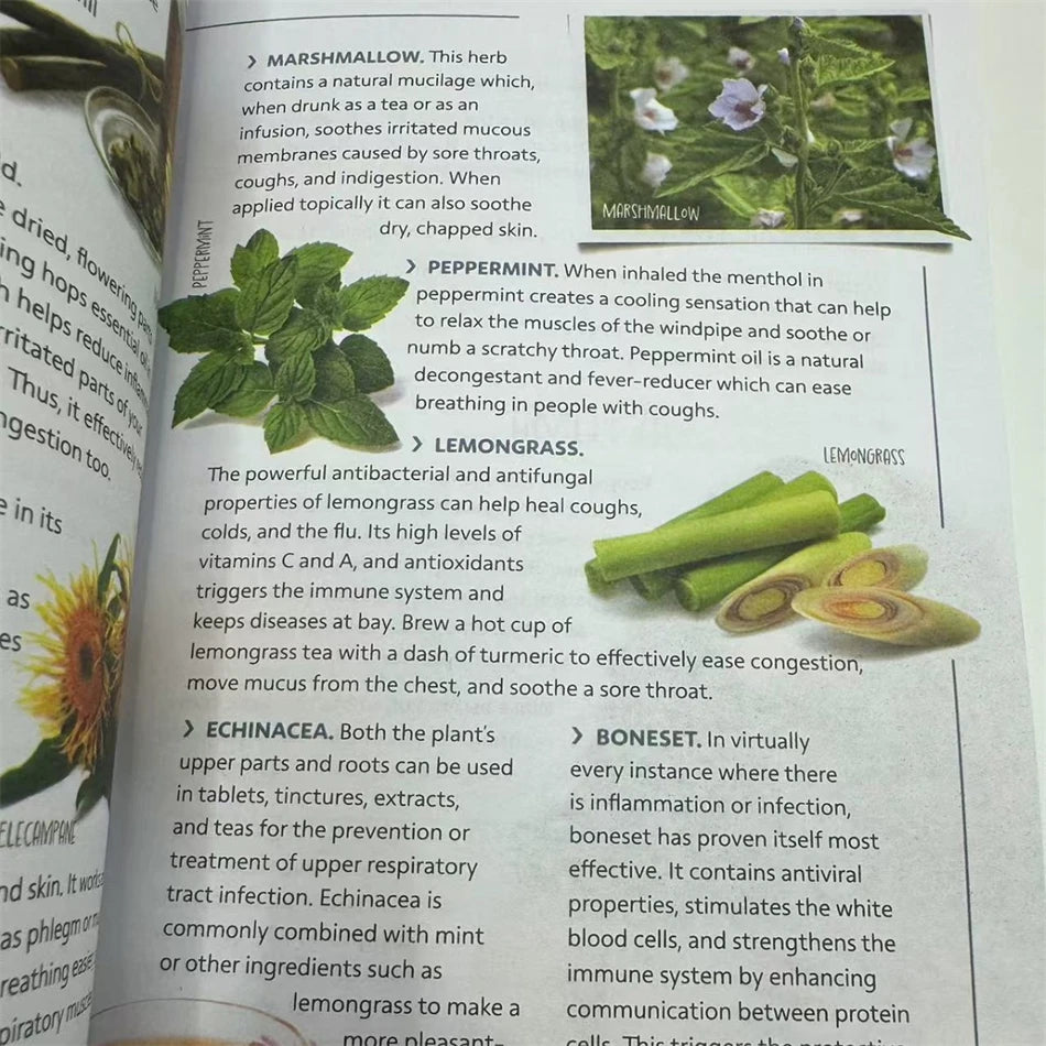 Sustain Me – Natural Remedies & Microorganism Healing by Barbara O'Neill