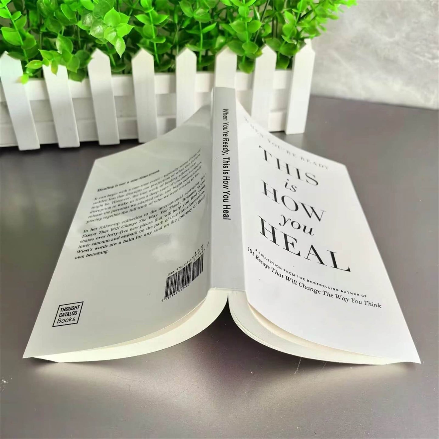 When You're Ready, This Is How You Heal – Brianna Wiest
