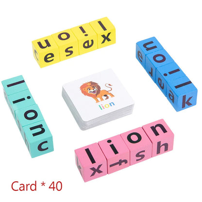 49841433248036