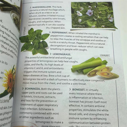 Sustain Me – Natural Remedies & Microorganism Healing by Barbara O'Neill